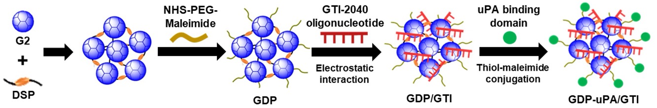 NP-Based, Targeting Drug Delivery System to Treat Triple Negative Breast Cancer